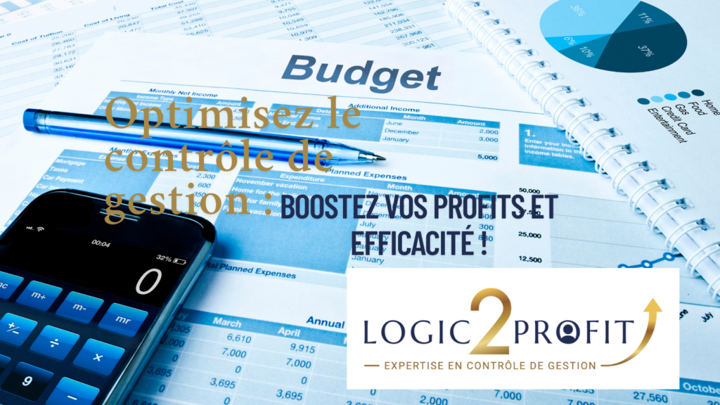 optimisez controle gestion profit efficacite