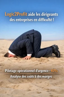 tete dans le sable