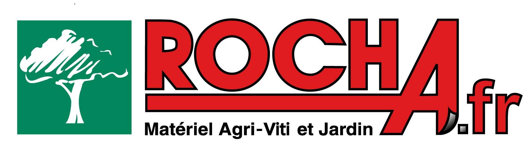 Rocha